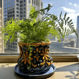 ceramic decorated pot with plant inside